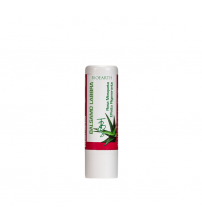 Balsamo Labbra Aloe e Rosa Mosqueta 7 ml